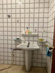 IMG 3474