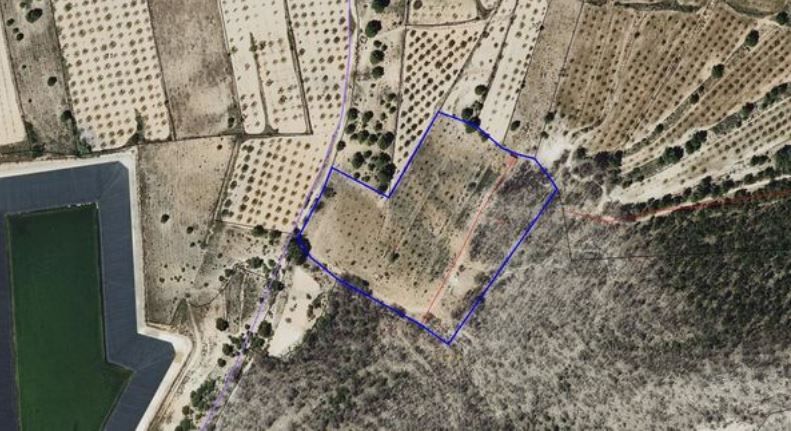 Terreno en venta en Monóvar